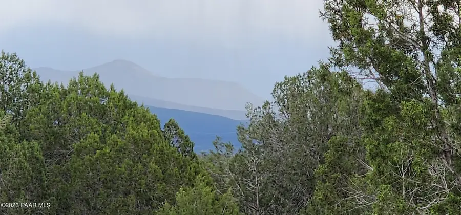 97c Rattlesnake, Ash Fork, AZ 86320 - #3