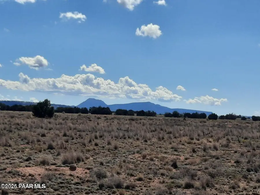 53316 N Saddlerock Drive, Seligman, AZ 86337 - #2