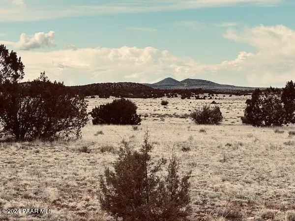 424nw Deliverance Road, Seligman, AZ 86337