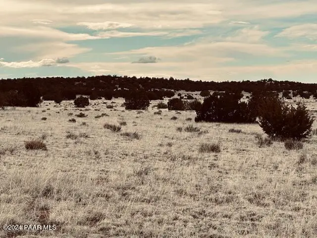 424nw Deliverance Road, Seligman, AZ 86337 - #2