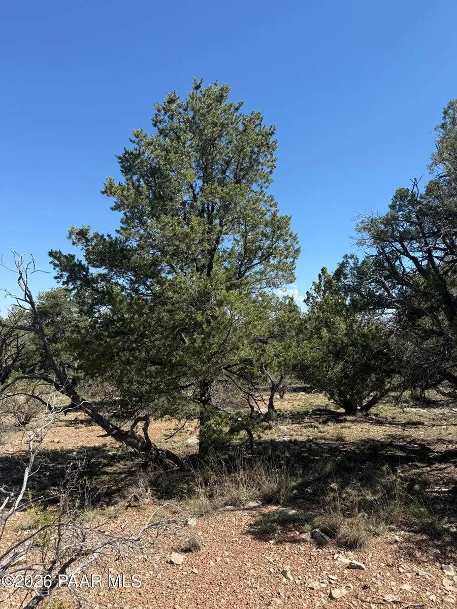 32506 W Shadow Mountain Circle, Seligman, AZ 86337 - #2