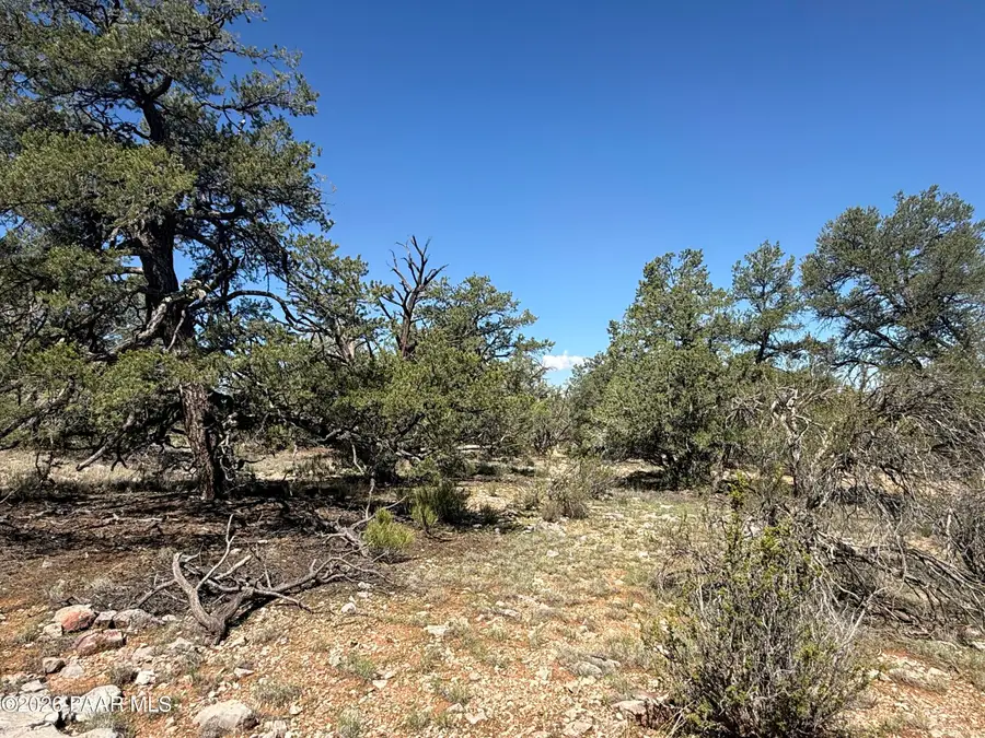 32506 W Shadow Mountain Circle, Seligman, AZ 86337 - #3
