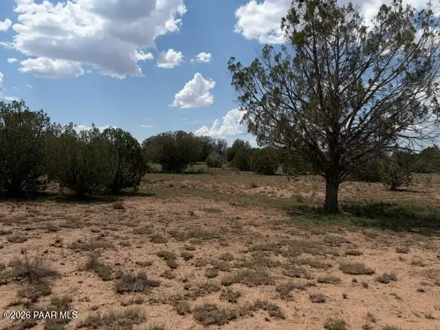 00 X-one Ranch Rd, Seligman, AZ 86337 - #1