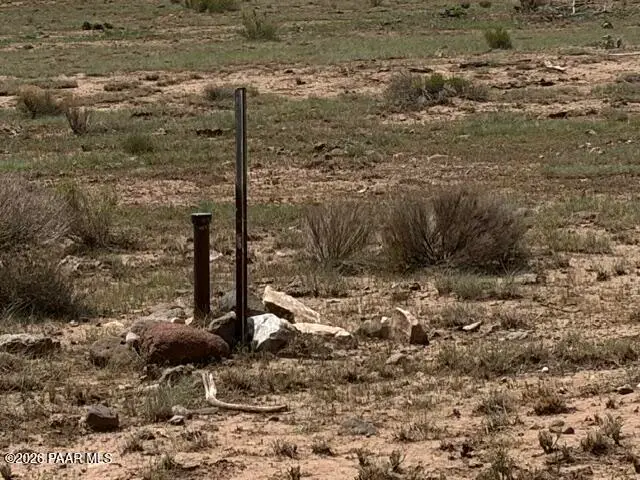 00 X-one Ranch Rd, Seligman, AZ 86337 - #2