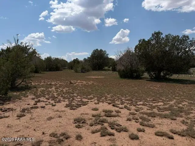 00 X-one Ranch Rd, Seligman, AZ 86337 - #3
