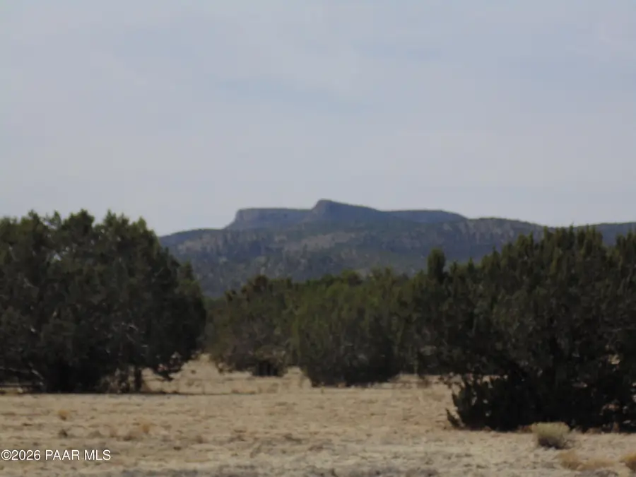 56765 Hidalgo Cir, Seligman, AZ 86337 - #3