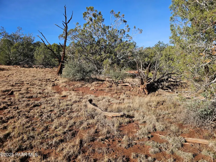 54892 N Potrero Lane, Seligman, AZ 86337 - #2