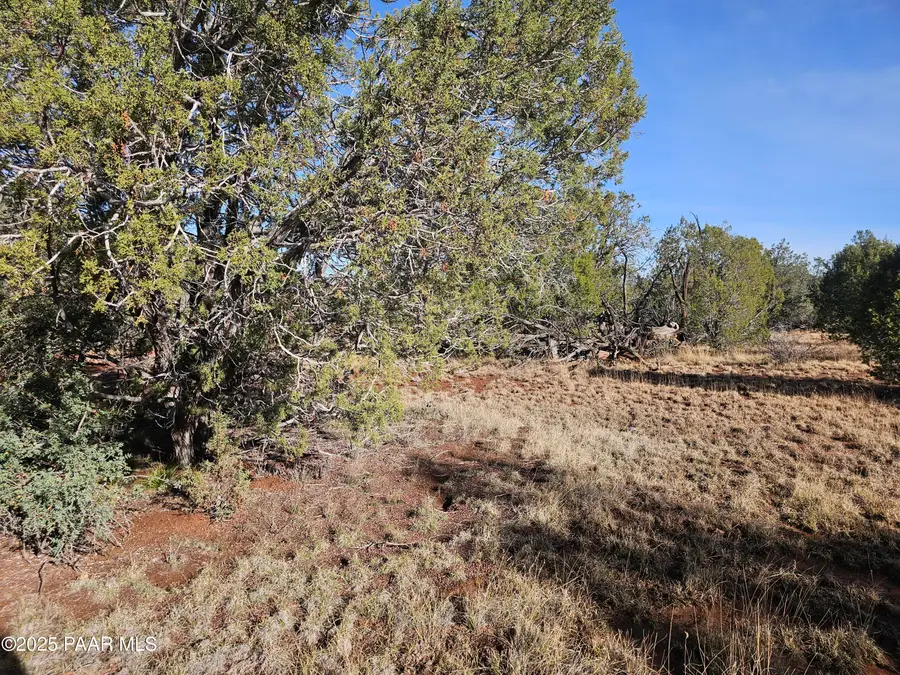 54892 N Potrero Lane, Seligman, AZ 86337 - #3