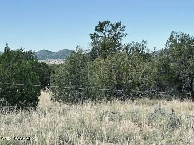 27145 W Fort Rock Road, Seligman, AZ 86337 - #1