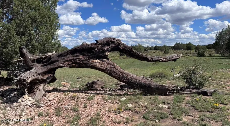 886 SW Westwood Ranch, Williams, AZ 86046 - #3