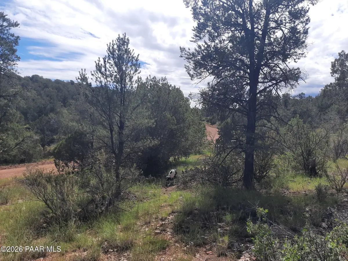 Lot 1416se N Sundance Way, Seligman, AZ 86337 - #1