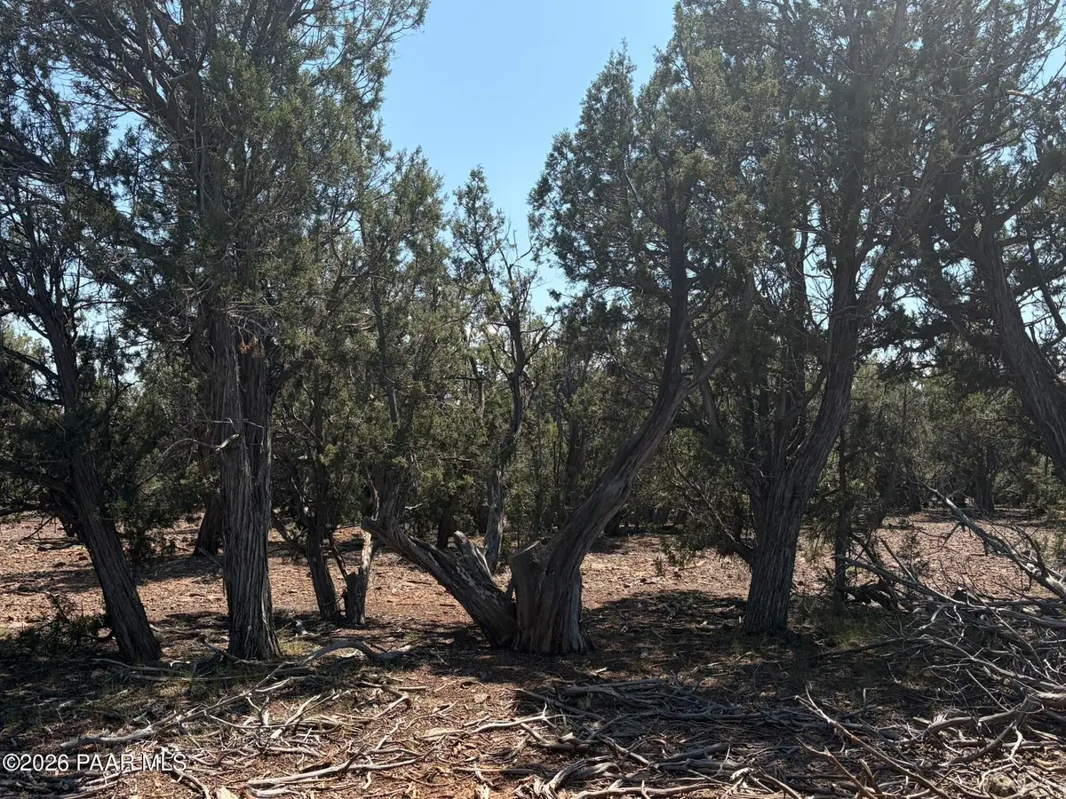 00 Sw Nine Shooter Road, Williams, AZ 86046 - #1