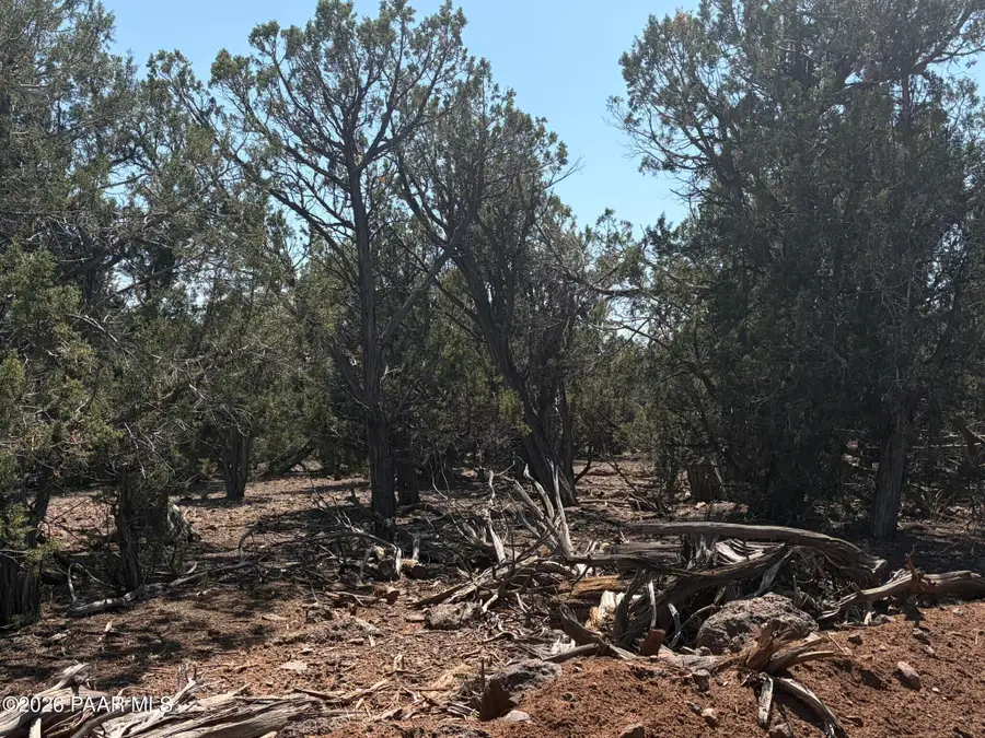 00 Sw Nine Shooter Road, Williams, AZ 86046 - #3