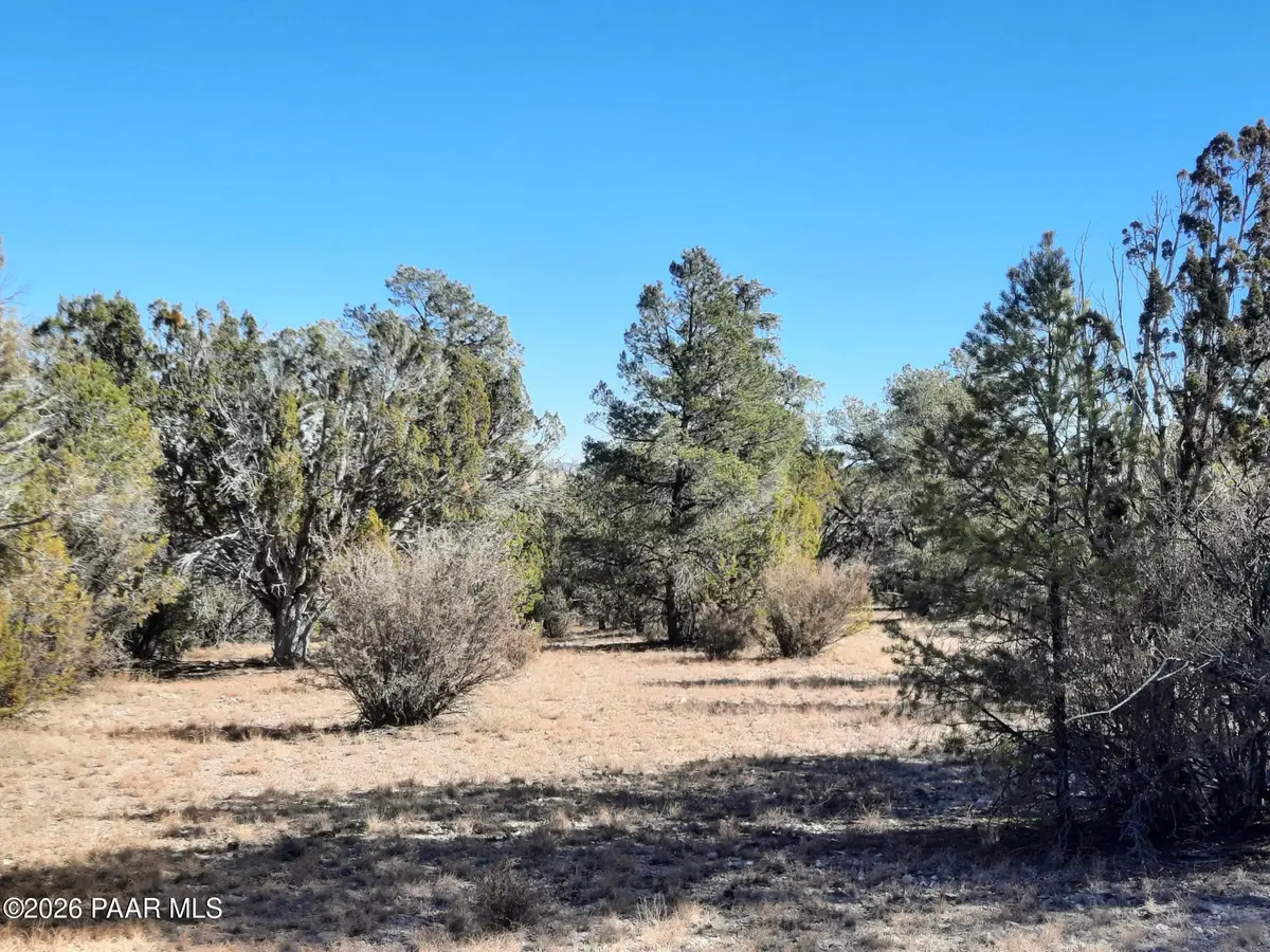 074 Off Denny 5 Road, Seligman, AZ 86337 - #1