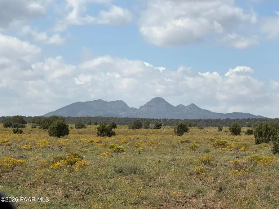 626 Stone Lake Blvd, Williams, AZ 86046 - #3