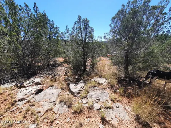 30260 W Circle Drive, Seligman, AZ 86337