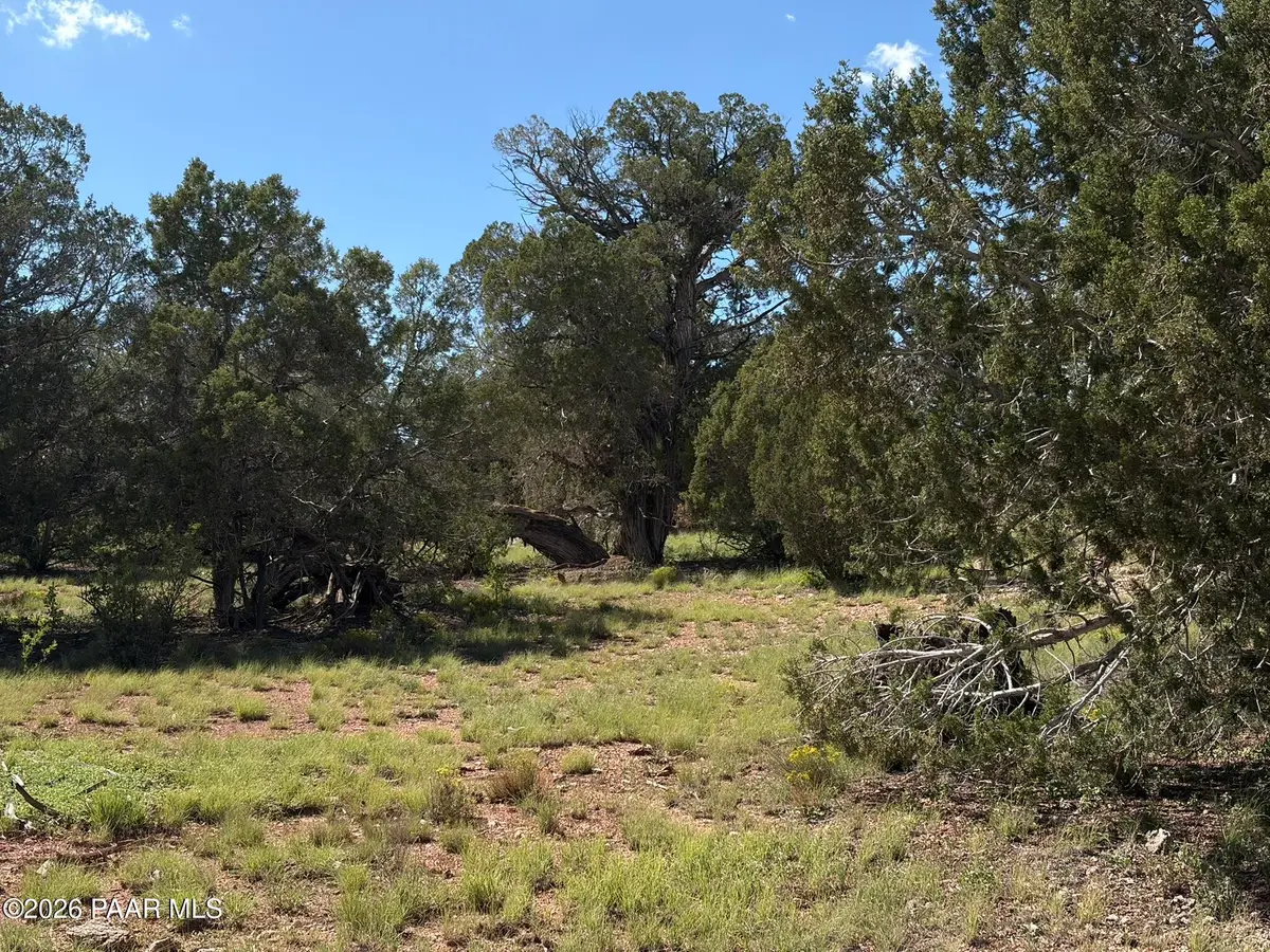 57650 Hora Lane, Seligman, AZ 86337 - #1