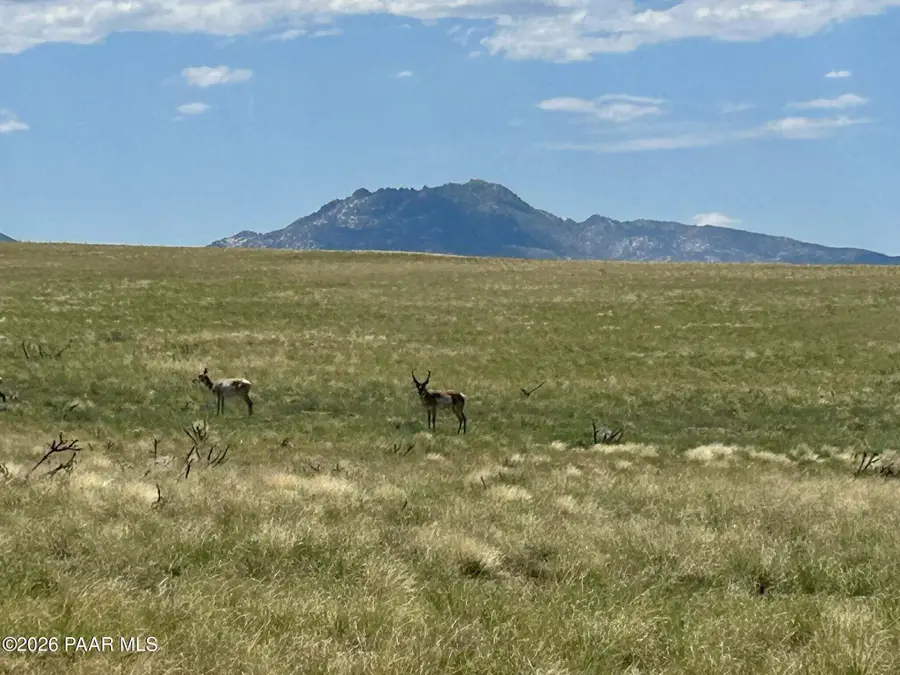 Lot 42 D-3 N Barrel Mesa Road, Prescott Valley, AZ 86315 - #2