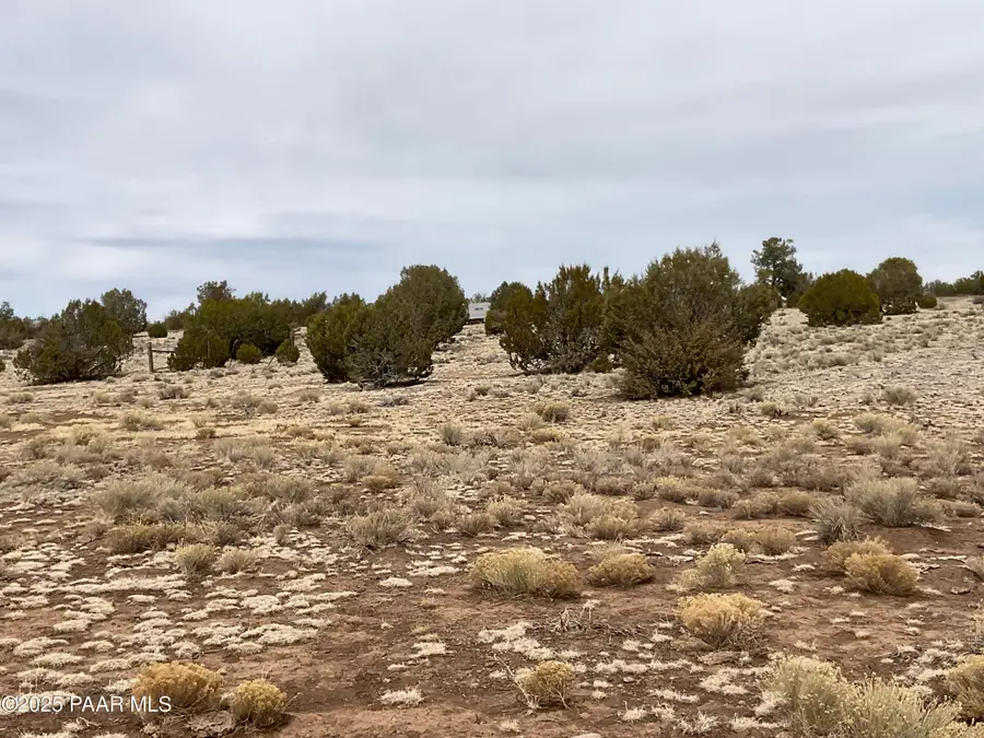 084a Ravens Rest Road, Seligman, AZ 86337 - #3