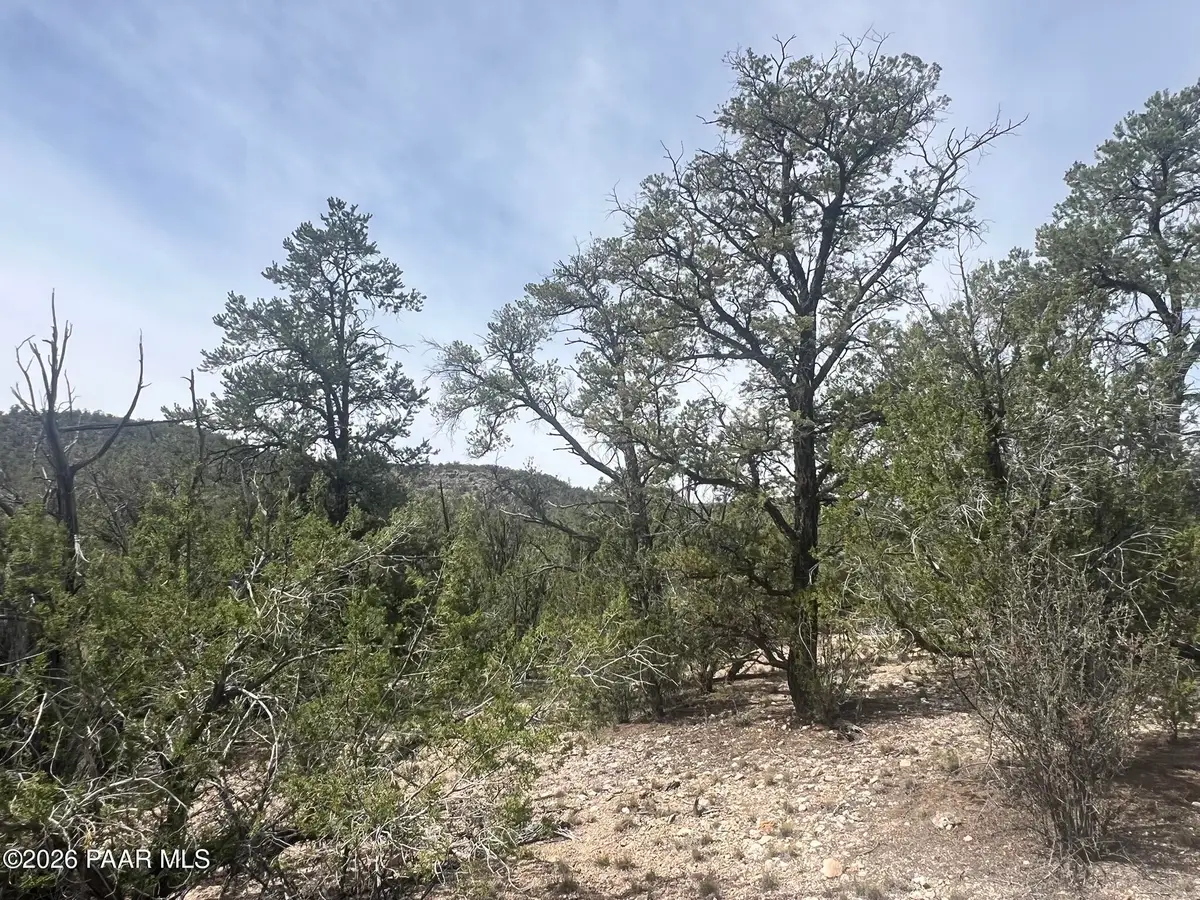 1510 Off Of Lion Canyon Drive, Seligman, AZ 86337 - #1