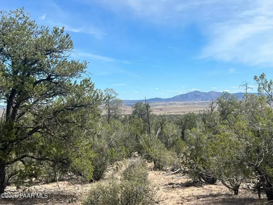 1510 Off Of Lion Canyon Drive, Seligman, AZ 86337 - #2