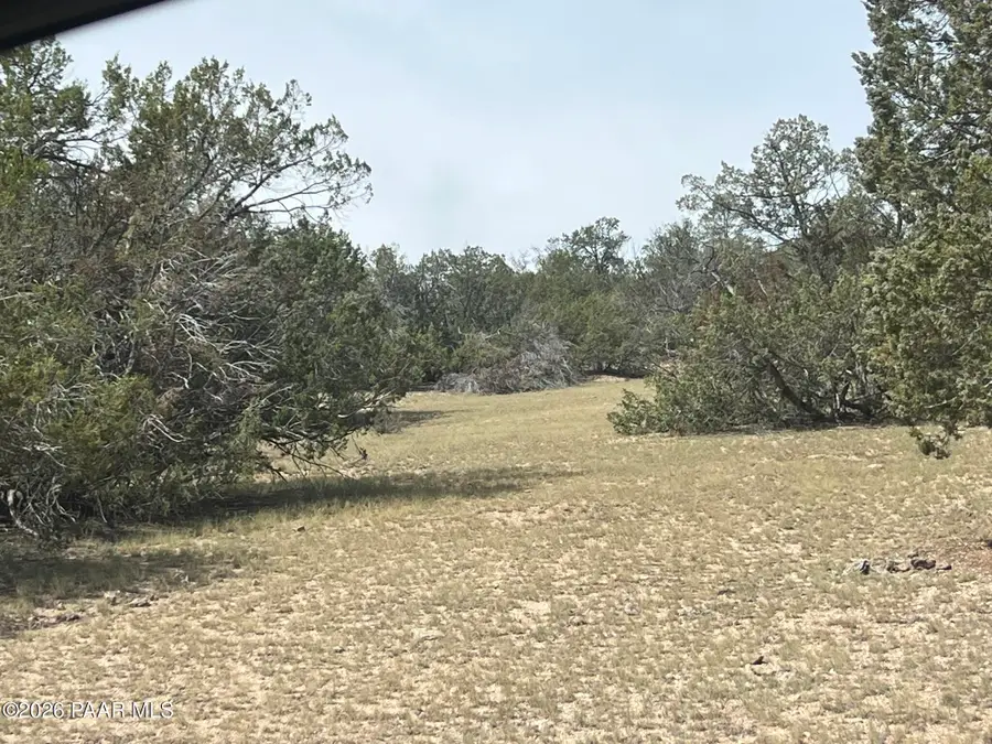 1510 Off Of Lion Canyon Drive, Seligman, AZ 86337 - #3