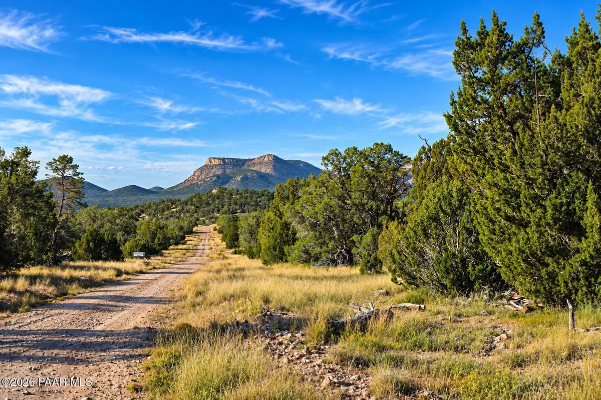 Lot 1060 N Dallas Drive, Seligman, AZ 86337 - #1