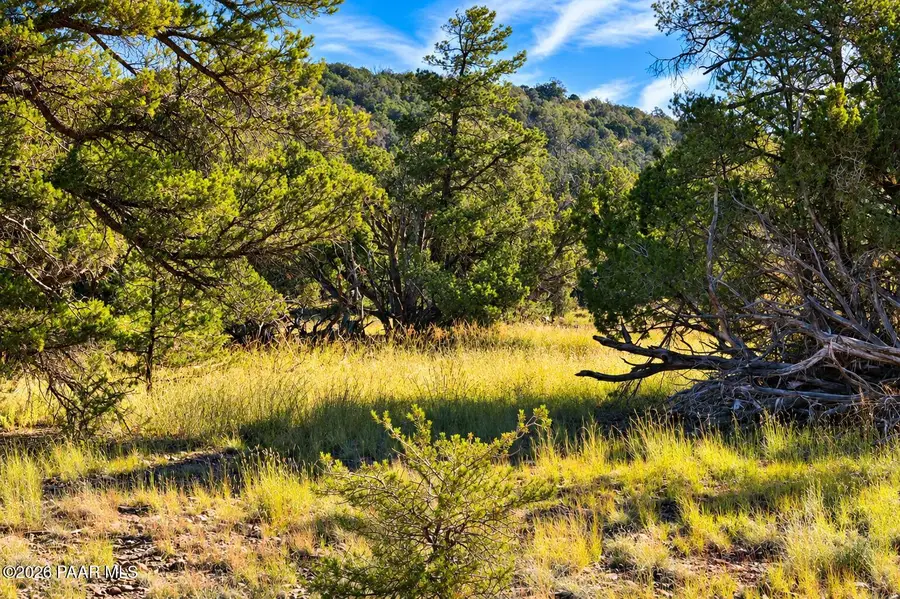 Lot 1060 N Dallas Drive, Seligman, AZ 86337 - #2