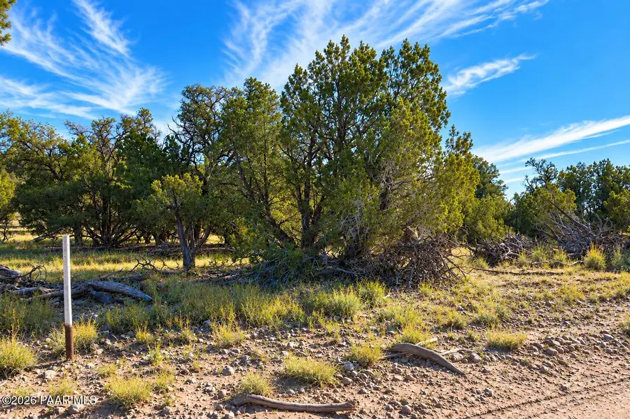 Lot 1060 N Dallas Drive, Seligman, AZ 86337 - #3