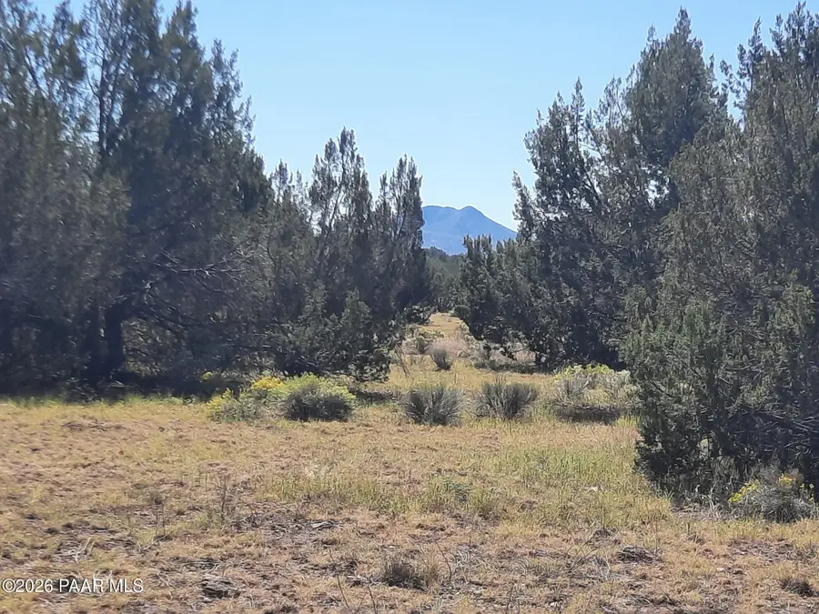 Lot 1371 Last Chance Road, Seligman, AZ 86337 - #2