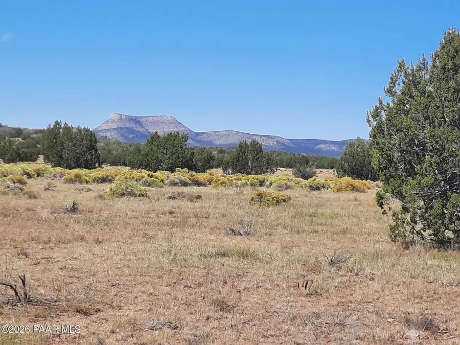 Lot 1371 Last Chance Road, Seligman, AZ 86337 - #3