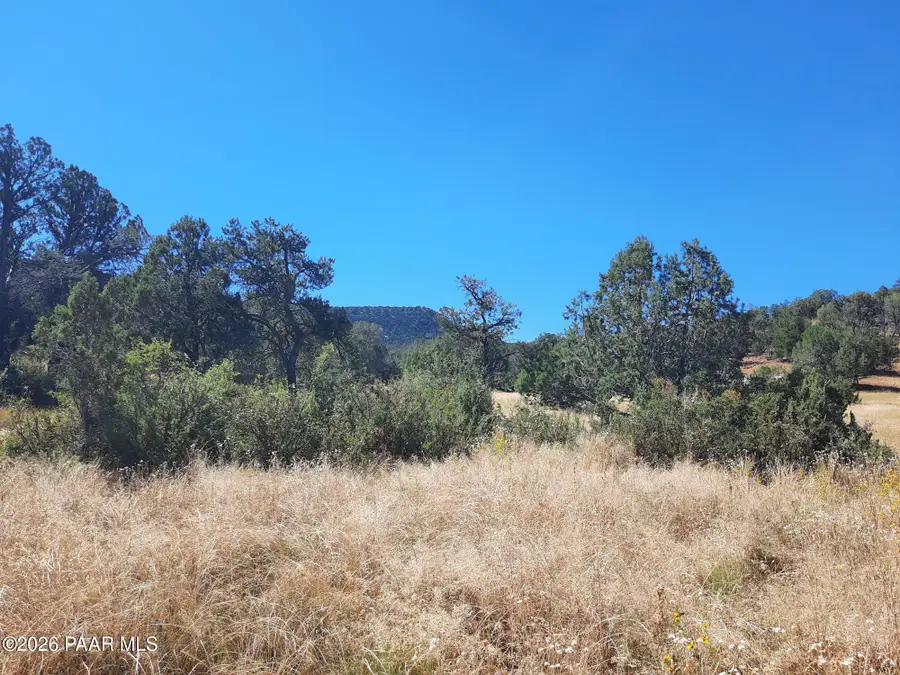34445 W Presidio Lane, Seligman, AZ 86337 - #2