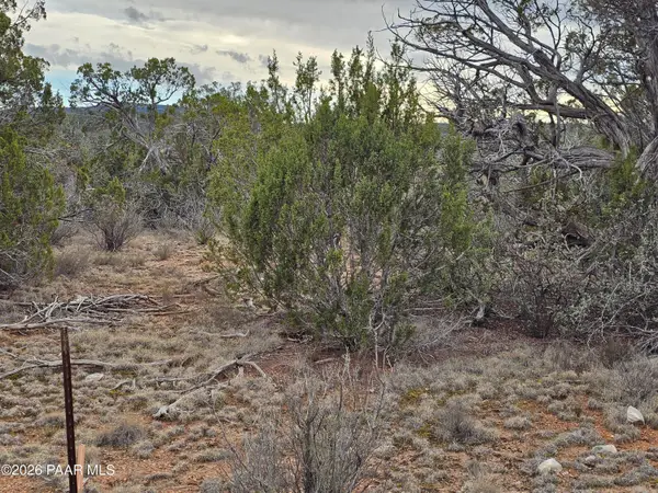 32667 W Conejo Road, Seligman, AZ 86337