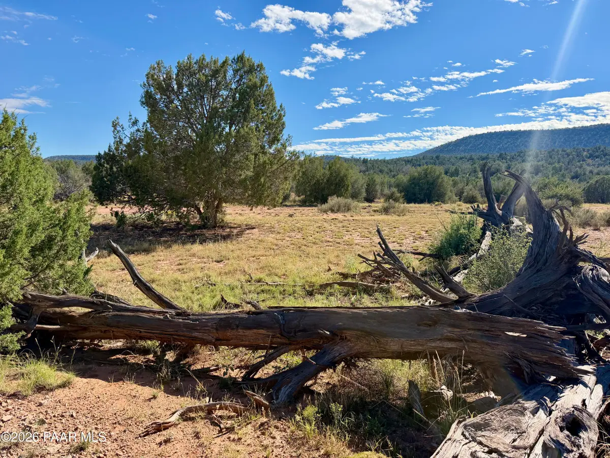 494se N Nirvana Way, Ash Fork, AZ 86320 - #1