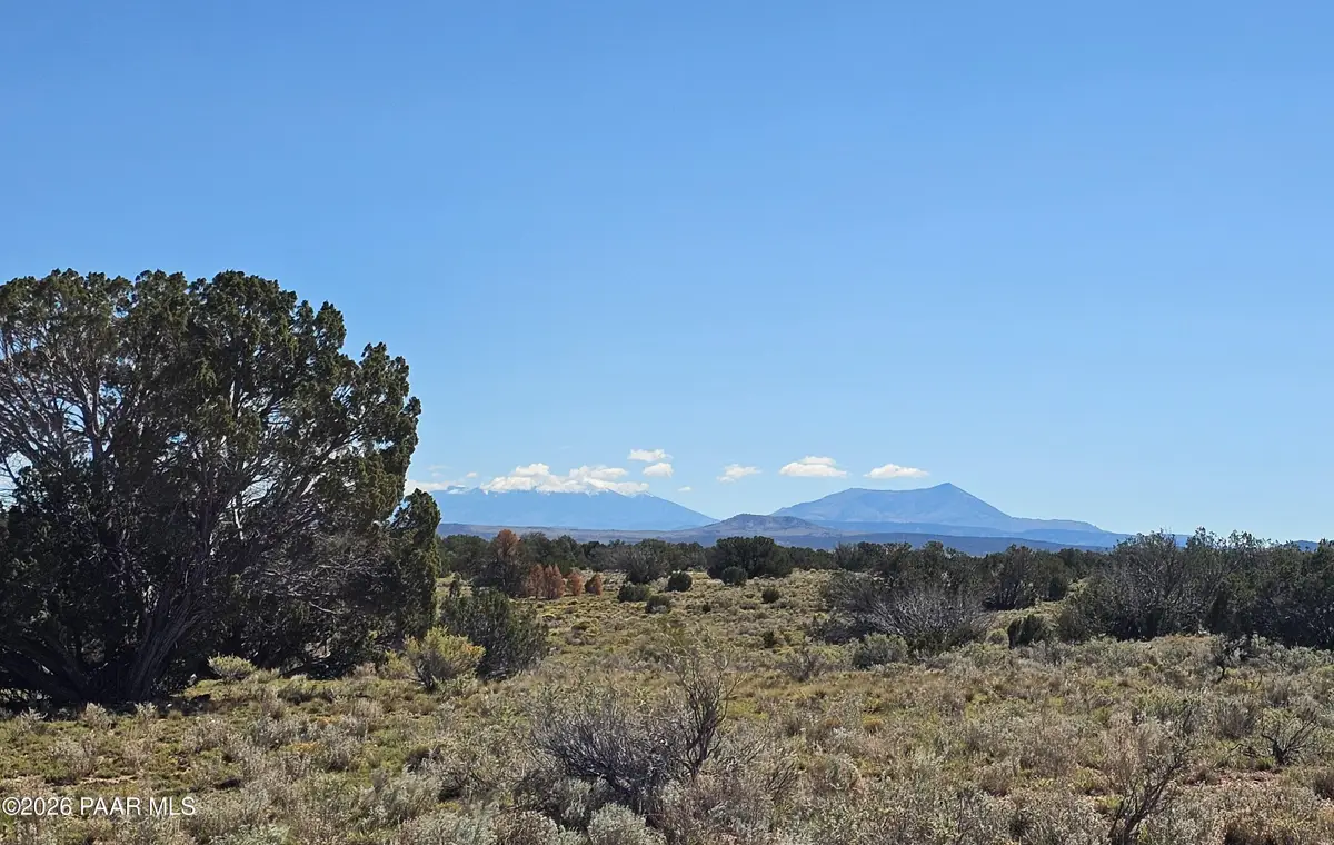 2032 S Santa Clara Road, Williams, AZ 86046 - #1