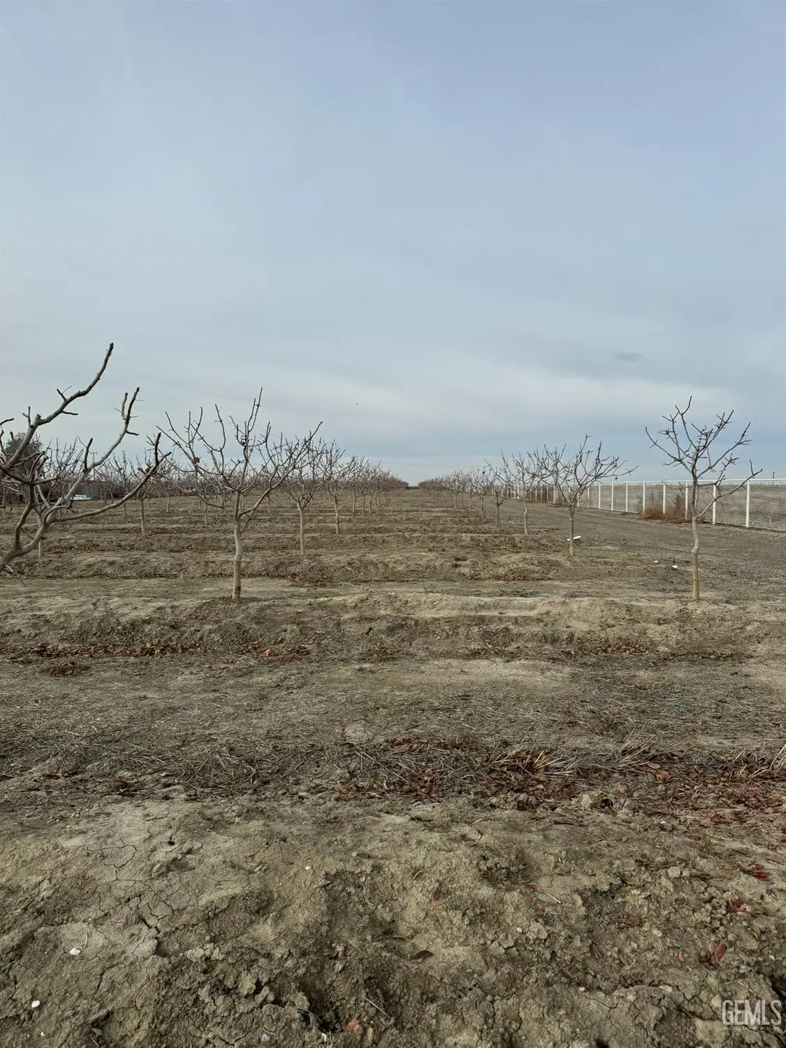 0 PTN NE 1/4 SEC 27, Wasco, CA 93280 - Image #1