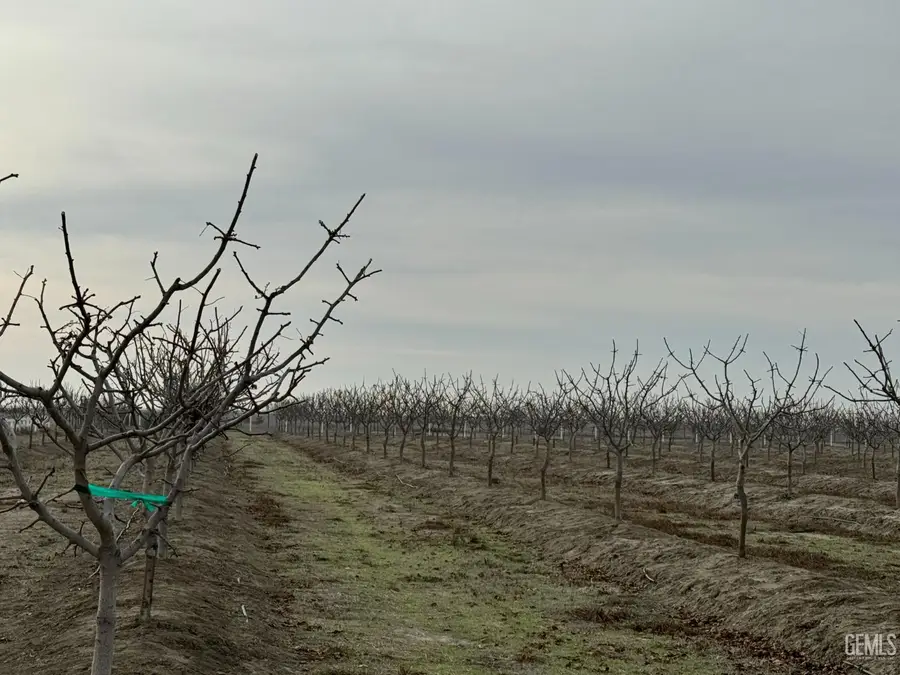 0 PTN NE 1/4 SEC 27, Wasco, CA 93280 - Image #3