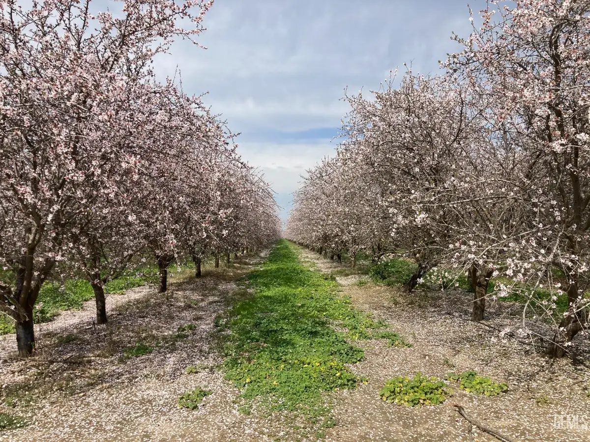 0 PANAMA ROAD, Bakersfield, CA 93307 - Image #1