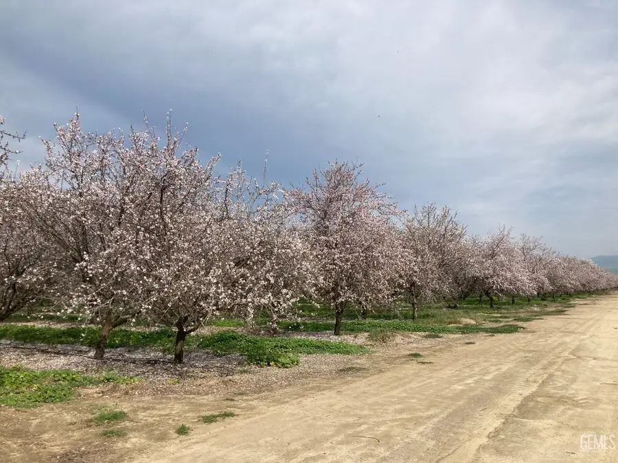 0 PANAMA ROAD, Bakersfield, CA 93307 - Image #2