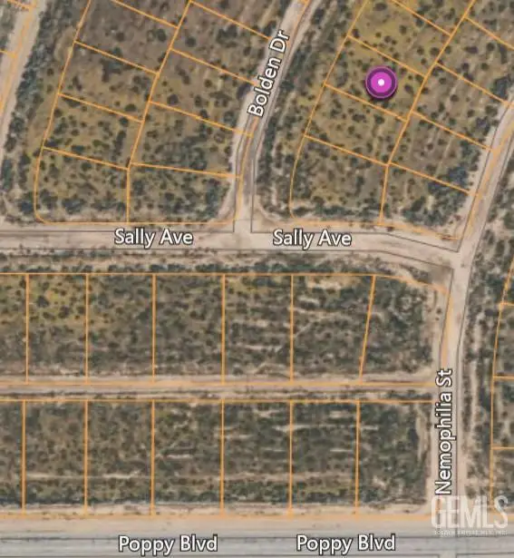 0 BOLDEN DR, California City, CA 93505 - Image #2