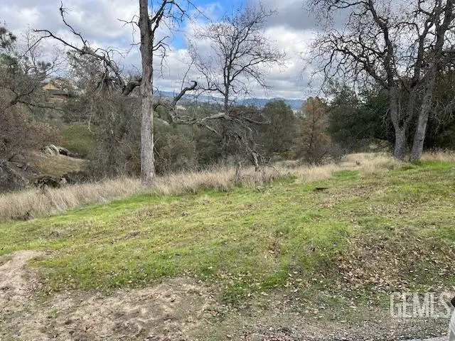 0 S LONG HOLLOW COURT, Yosemite Lakes, CA 93614 - Image #2