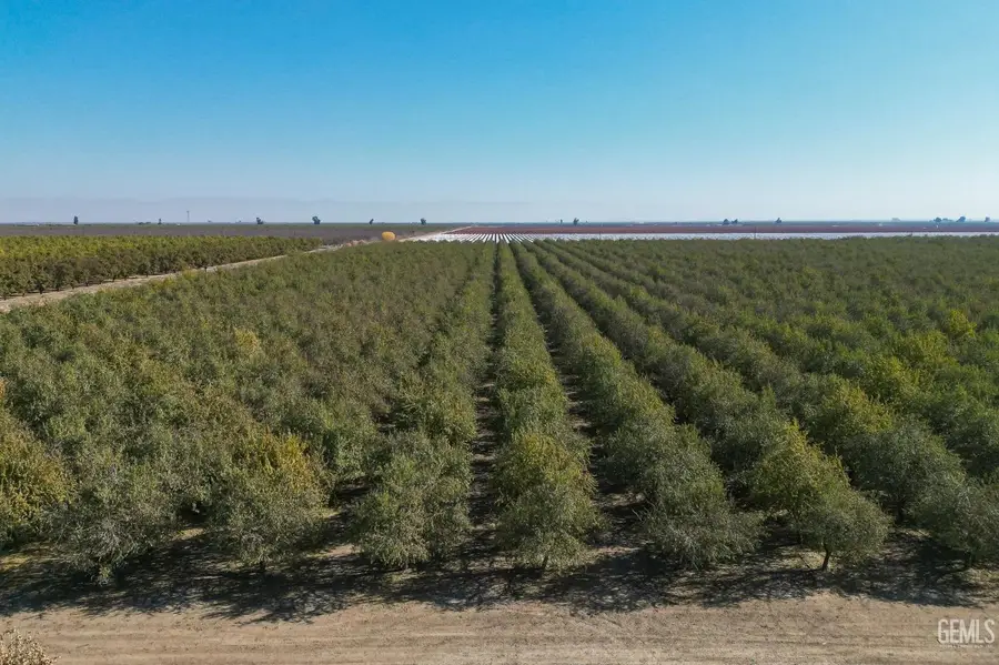 2431 RD 128, Earlimart, CA 93219 - Image #3