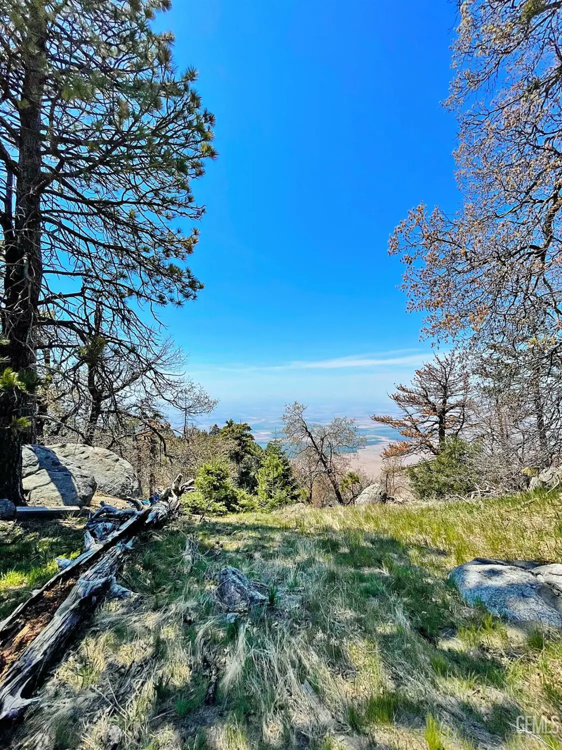 26981 MEDICINE BOW COURT, Tehachapi, CA 93561 - Image #1