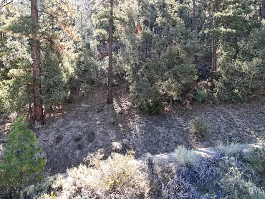 2000 IRONWOOD DRIVE, Pine Mountain Club, CA 93222 - Image #3