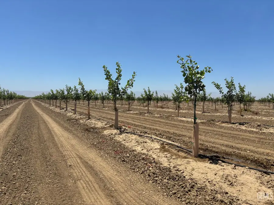 4531 RANCHO ROAD, Arvin, CA 93203 - Image #3