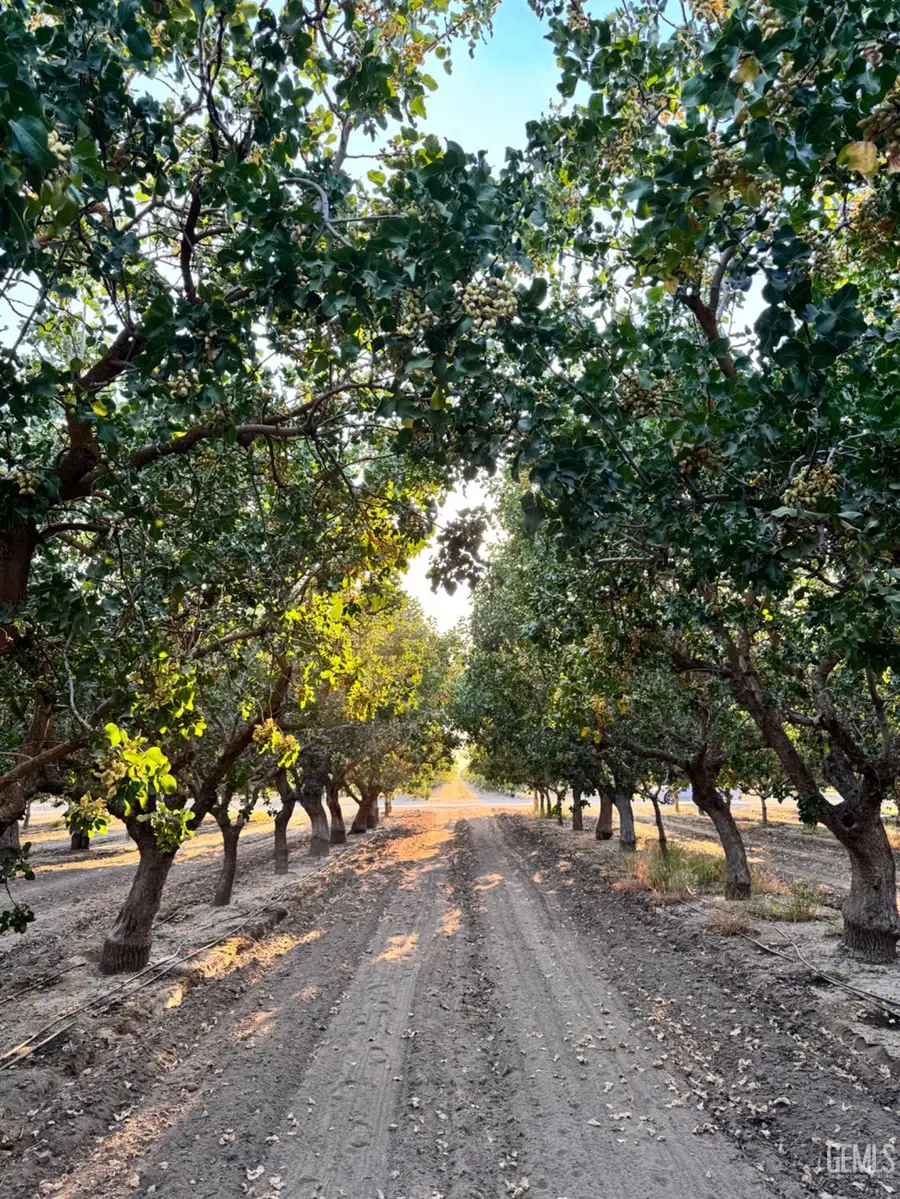 0 KIMBERLINA, Shafter, CA 93263 - Image #3