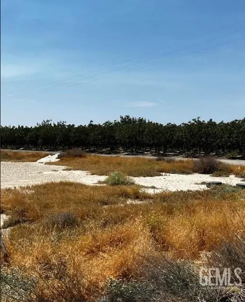 0 ROAD 80, Earlimart, CA 93219 - Image #2