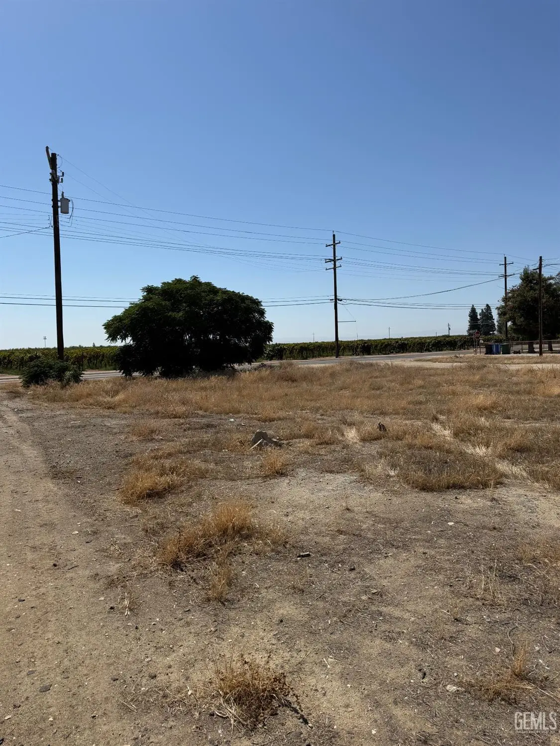 790 FRESNO AVENUE, Shafter, CA 93263 - #1