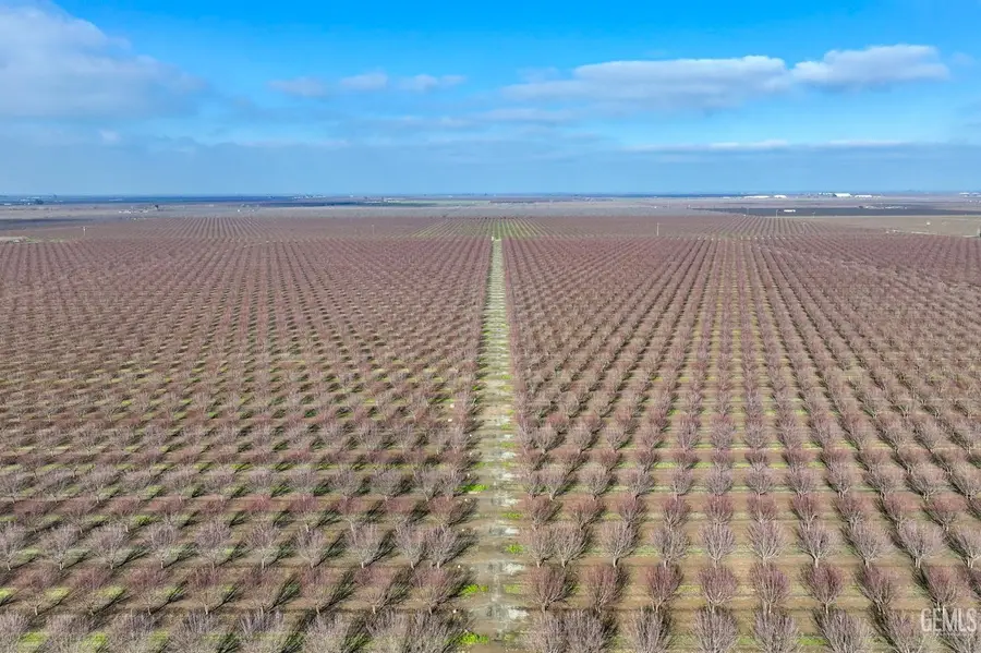 0 ROAD 184, Terra Bella, CA 93270 - Image #2