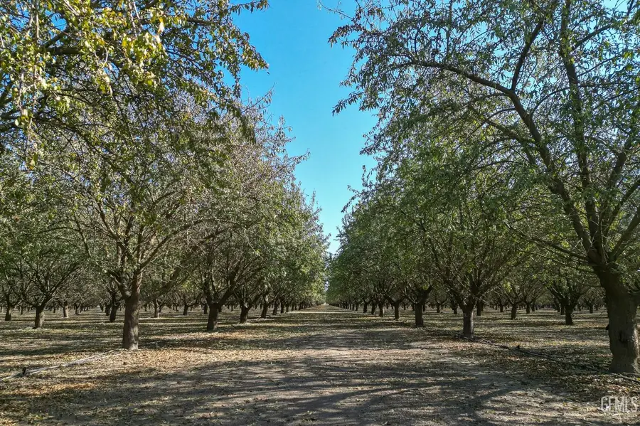2431 RD 128, Earlimart, CA 93219 - #2